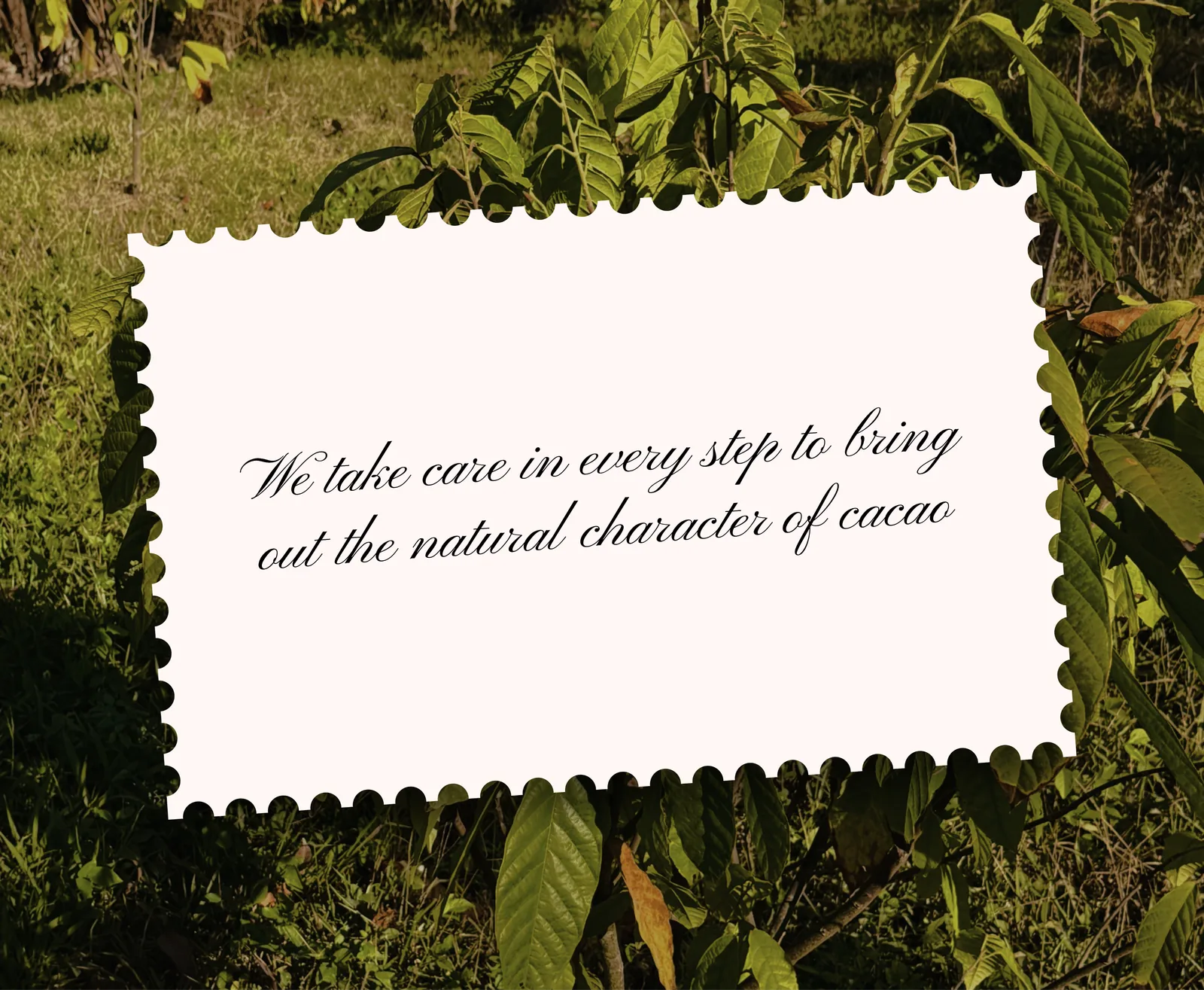A note on caring for every step of the cocoa process